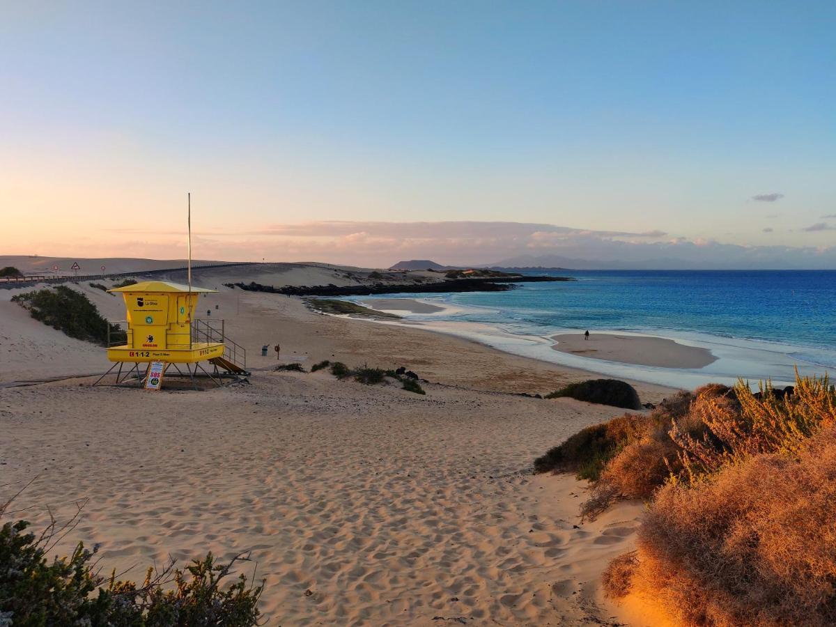 Apartament Oasis Tamarindo Poppins Pool E Terrace Corralejo Zewnętrze zdjęcie