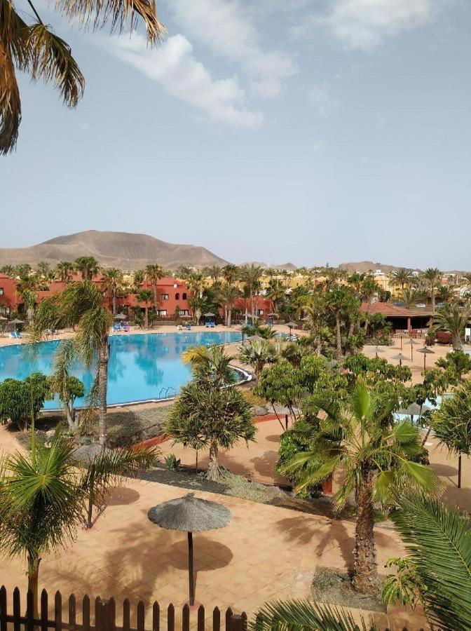 Apartament Oasis Tamarindo Poppins Pool E Terrace Corralejo Zewnętrze zdjęcie