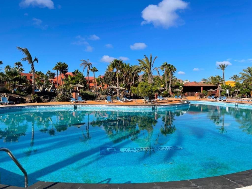 Apartament Oasis Tamarindo Poppins Pool E Terrace Corralejo Zewnętrze zdjęcie
